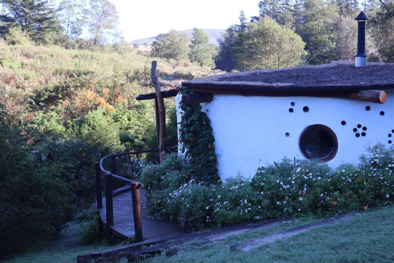 Half Moon Hollow Eco Cottage Mossel Bay Exterior foto